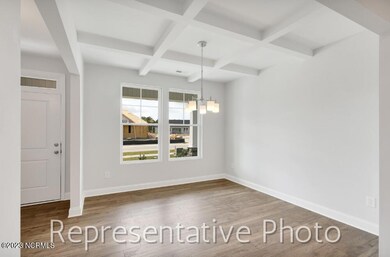 Representative Photo (92)