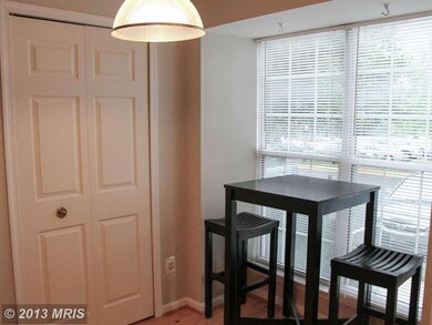 46930 Courtyard Square unit 46930, Sterling, VA 20164 - photo 5
