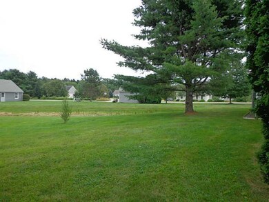 Yard/Garden.