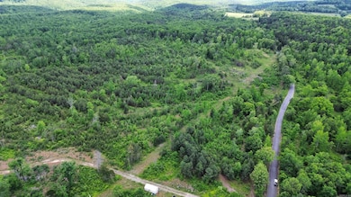 5000 Shady Grove Rd, Shirley, AR 72153 - photo 3