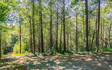 Additional View