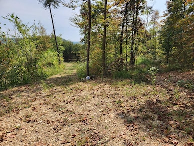 00 Routt Rd, Wallingford, KY 41093 - photo 2