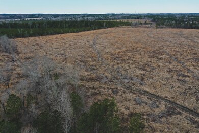 19.4 Ac. Nc 96 Hwy, Oxford, NC 27565 - photo 4