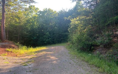 Additional View