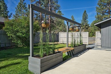 Backyard SW view