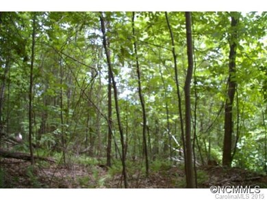 0 Roaring Fork Rd unit NCM579079, Burnsville, NC 28714 - photo 7