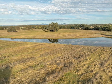 17720 Bowman Rd, Cottonwood, CA 96022 - photo 4