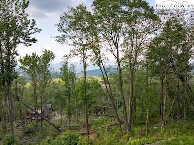 Lot T5 Timber Rock Trail, Banner Elk, NC 28604 - photo 3