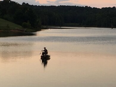 209 Spring Lake Cove, Oxford, MS 38655 - photo 5