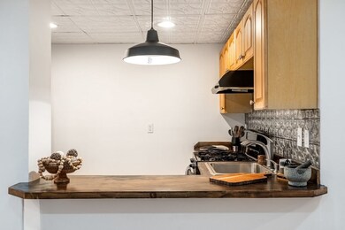 302 K St unit B, Boston, MA 02127 - photo 4