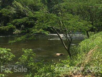 Lot 309 Sanderling Ct, Lake Lure, NC 28746 - photo 7