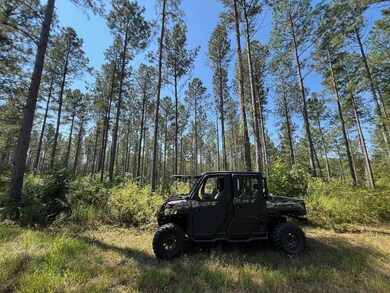 Bethlehem Rd, Equality, AL 36026 - photo 5