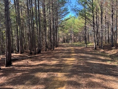 0 Walnut Grove Rd, Bolivar, TN 38008 - photo 4