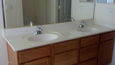16107 double sinks