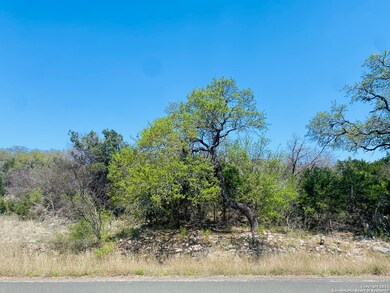 3939 Wilderness Rim, San Antonio, TX 78261 - photo 3