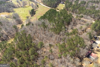 1496 Trestle Rd, Locust Grove, GA 30248 - photo 3