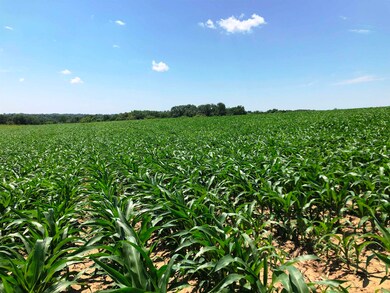 98.33 acres Pikes Peak Rd, Lancaster, WI 53813 - photo 5