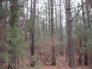 000 Valentine Mill Rd, Louisa, VA 23093 - photo 3