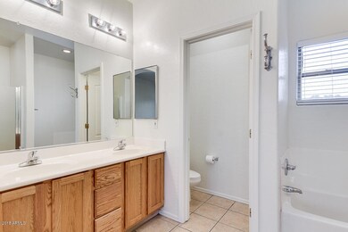21-University Master Vanity