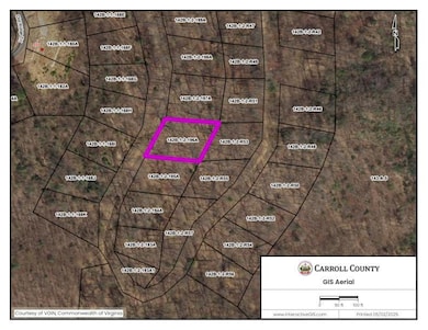 TBD Yellow Locust Dr, Fancy Gap, VA 24328 - photo 2