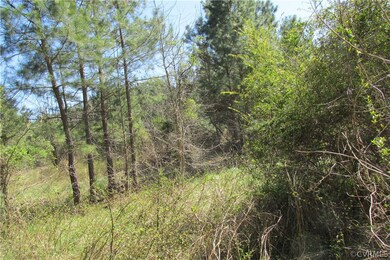 16615 Templeton Rd, Disputanta, VA 23842 - photo 4