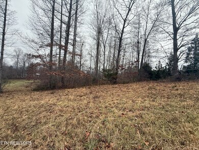 Lot #6 Oak Point Dr, Jonesville, VA 24263 - photo 4