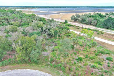 171 Carousel Ave, Fort Denaud, FL 33935 - photo 5