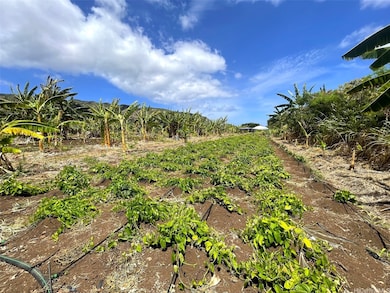 68-670 Farrington Hwy unit 11, Waialua, HI 96791 - photo 6