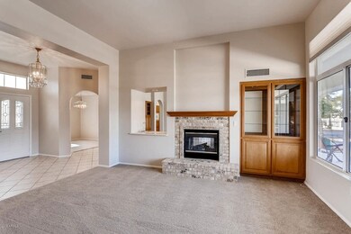 13932 W Whitewood Dr Sun City-large-006-