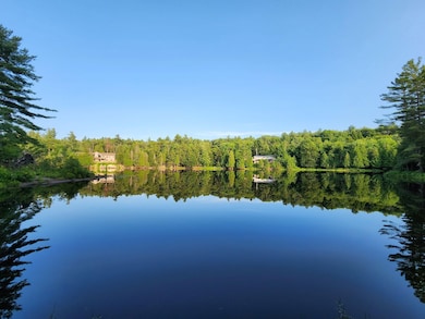 13331 Henry Rd, Diana Center, NY 13648 - photo 7