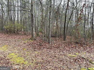 2930 Highway 113, Carrollton, GA 30117 - photo 7