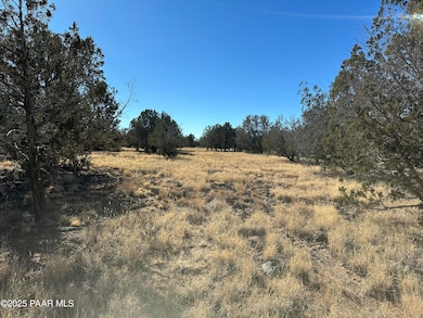 2249 W Cienega Dr, Ash Fork, AZ 86320 - photo 7