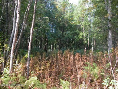 Island Lake Lot (4)