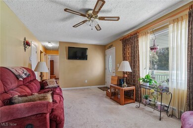 8291 State Route 88, Ravenna, OH 44266 - photo 5