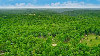 15.18ac Mount Helen Rd, Allardt, TN 38504 - photo 4