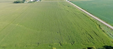 TBD 265th St, Brownsdale, MN 55918 - photo 3