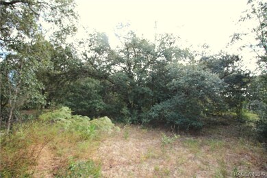 4344 N Indianhead Rd, Hernando, FL 34442 - photo 5