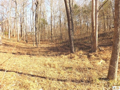 Lots 16R & 17R Runaway Dr, Fountain Run, KY 42133 - photo 6