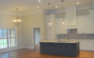 497 Caroline Blvd unit Lot 496, Madison, MS 39110 - photo 5