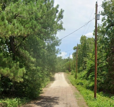 5343 Sam Bass, Log Cabin, TX 75074 - photo 3