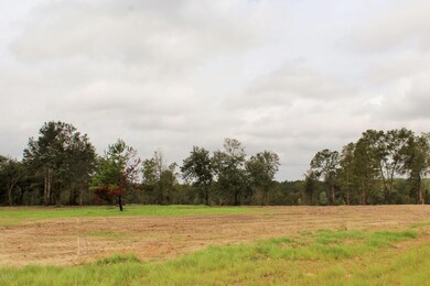 11.35ac Buddy Finch Rd, Lucedale, MS 39452 - photo 6