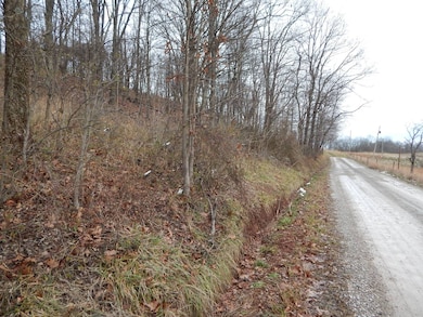 00 Seckman Ridge, St. Marys, WV 26170 - photo 3