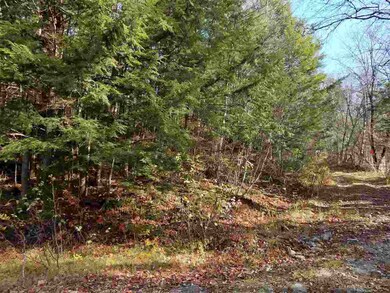 2.6 Halls Brook Rd, Groton, NH 03266 - photo 4