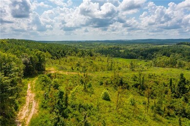 0 Camp Ranch Rd, Broken Bow, OK 74728 - photo 5