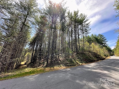 0 National Forest Dr unit 132, Lenoir, NC 28645 - photo 3