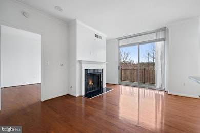 Elan East Market Condominiums unit 505, Fairfax, VA 22033 - photo 4