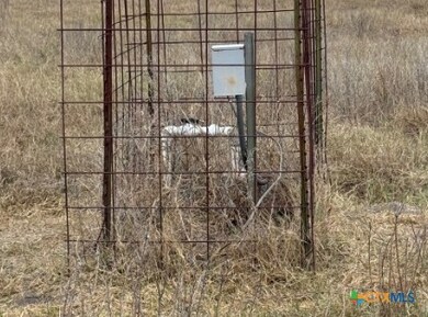 00 County Road 302, Runge, TX 78151 - photo 4