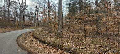 636 Tobaccoport Rd, Bumpus Mills, TN 37028 - photo 3