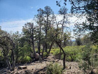 Foothills 2