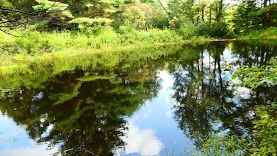 155 River Rd, Worthington, MA 01098 - photo 3